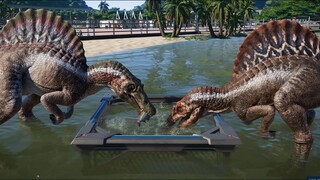 2 T-Rex & 2 Spinosaurus Breakout & Fight! Jurassic World Evolution (4K 60FPS)
