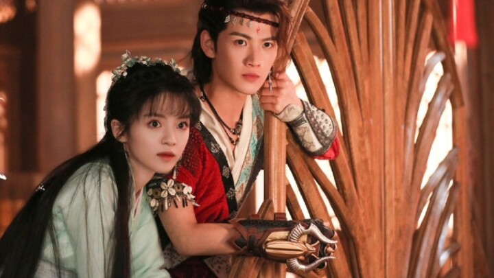 [Chỉ Juewu] Ziwu đã thành công thông thạo "ngôn ngữ chó" và thâm nhập vào thế giới động vật hahahaha
