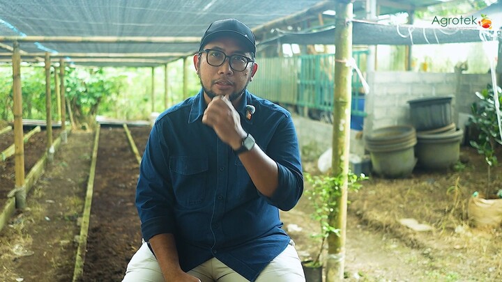 Budidaya Cacing Tanpa Pakan Mahal! Limbah Jadi Cuan, Panen 10 Ton Vermikompos