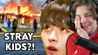 First Time Watching Stray Kids Funny Moments Out Of Context - Kpop Reaction