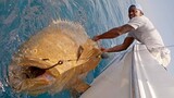 Ra Biển Câu Được Con Cá Khổng Lồ Người Đàn Ông Này Đã Cười Vui Suốt Cả Ngày