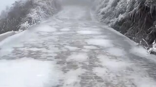 【Xing Yue Yue Chen】The latest video is now available—please follow!