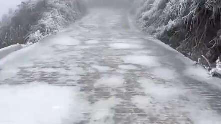 【Xing Yue Yue Chen】The latest video is now available—please follow!