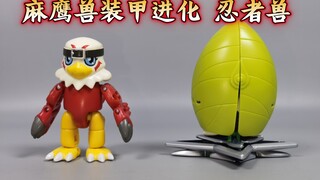 数码宝贝2 麻鹰兽装甲进化 忍者兽【使者讲模型】