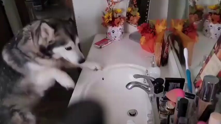 كم هو مهمٌّ إتقانُ مهارةٍ واحدةٍ!