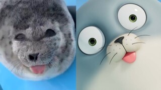 海豹真会吐舌头啊！这才是猛男看的动画（十一）
