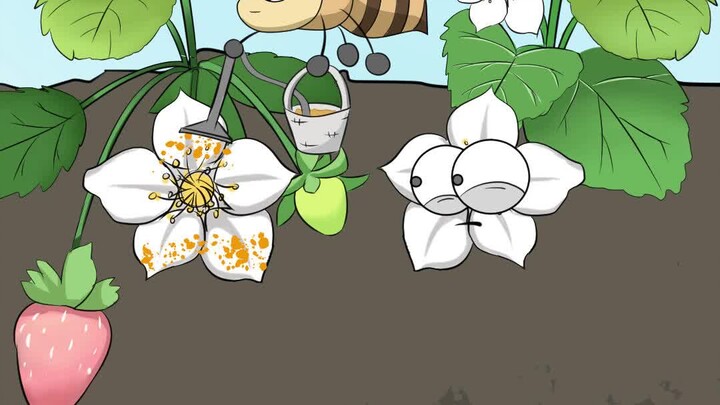 Ternyata penyebab stroberi berbentuk aneh adalah…?