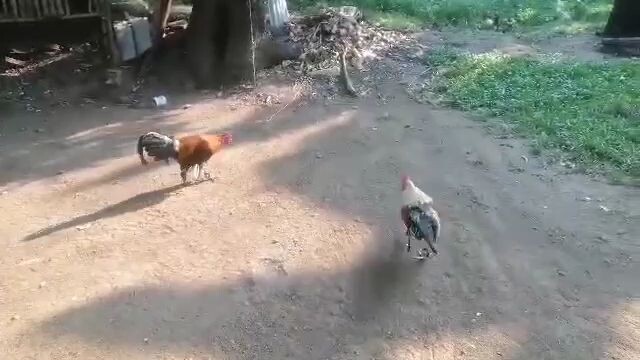 bagong upgrade na sbr solid