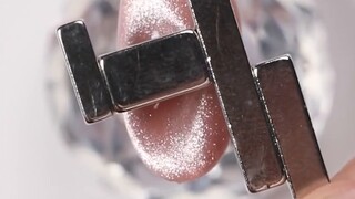 10008 طريقة لاستخدام كاميرا القط