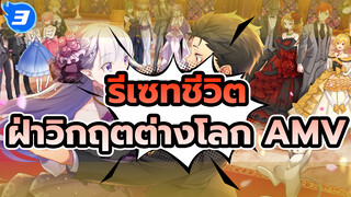 บททดสอบและการเติบโต - ฉันคืออัศวินของคุณ! 
| รีเซทชีวิต ฝ่าวิกฤตต่างโลก AMV_3