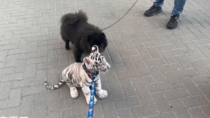 出来玩就是开心的一天！