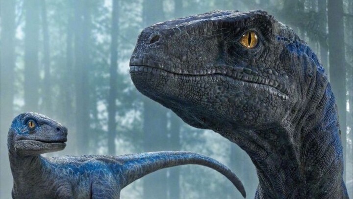 【عالم الجوراسي | بلو × أوين】بلو هي المفتاح | قصة أبوية مشحونة بالعاطفة