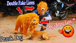 Double Fake Lions Vs Dog Prank Challenge 2021 | Must Watch New Funny Prank -Try To Not Laugh