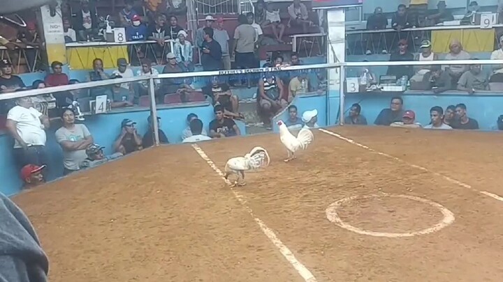 1win 1lose @Lipa Arena