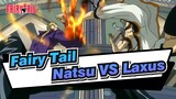 [Fairy Tail] Natsu VS Laxus / Gaya Bertarung Fairy Tail Yang Unik