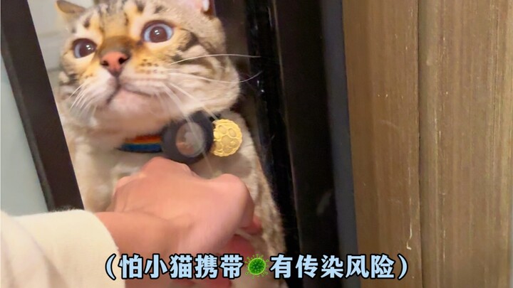 The package I received contained a cat…