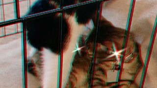 หาทางออกไม่เจอ