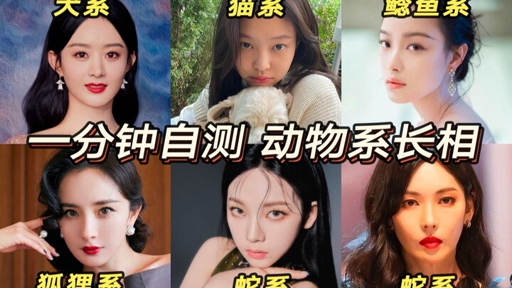 1-Minute Self-Test: What Animal‑Type Face Do You Have? Pinpoint Your Style Based on Your Facial Feat