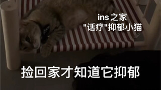 I'm waiting for the day when I can hug it and touch it.