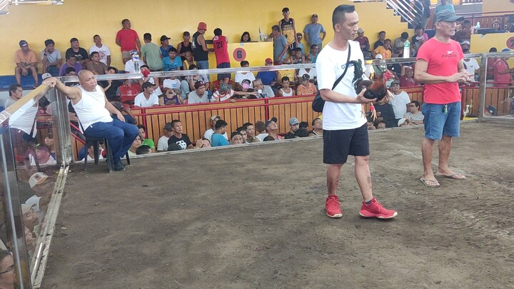 last fight pa champion loss 😭😭😭