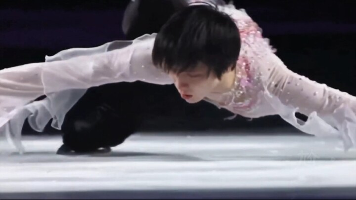 [Yuzuru Hanyu] He leaned over and kissed his faith, Sakura, a beautiful kiss