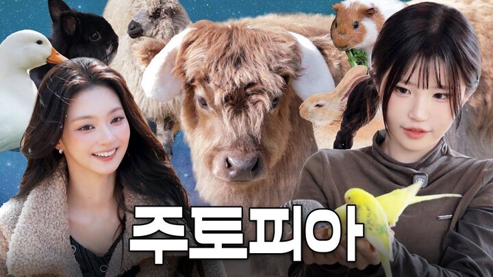 Seeing Hayoung and Nakyung surrounded by animals