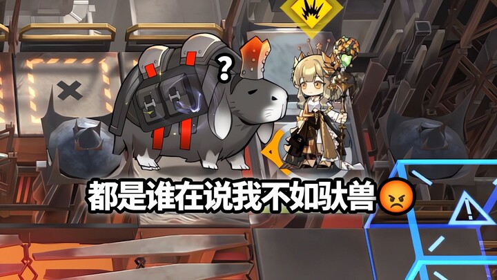 Operator high ground mana saja yang bisa membunuh tunggangan berdarah 90 ribu sendirian tanpa bantua