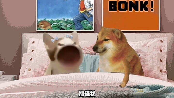 السلوك الموحد للفتيات عند الغضب