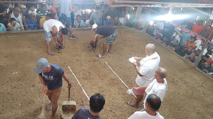 brownred vs dalusapi , brownred win