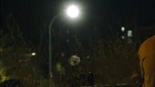(在华盛顿乡村寻找灵感) Finding inspiration on a Washington walk