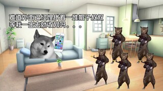 【猫meme】在网上发疯被帽子叔叔上门这件事