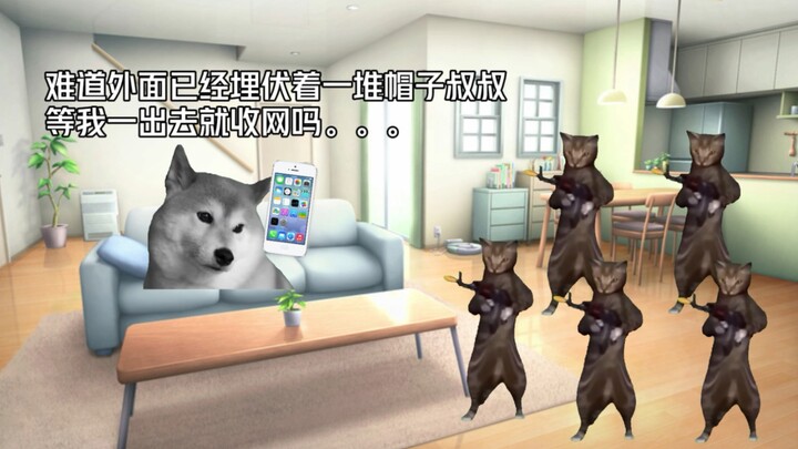 【猫meme】在网上发疯被帽子叔叔上门这件事
