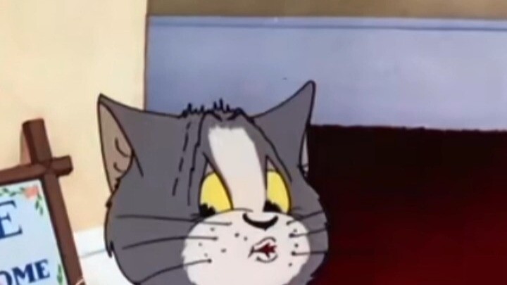 你最喜欢哪个版本的猫和老鼠啊