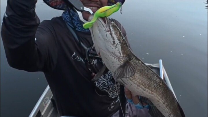 สำรวจหมายของภาษีเจริญเดินทาง 4 จังหวัด