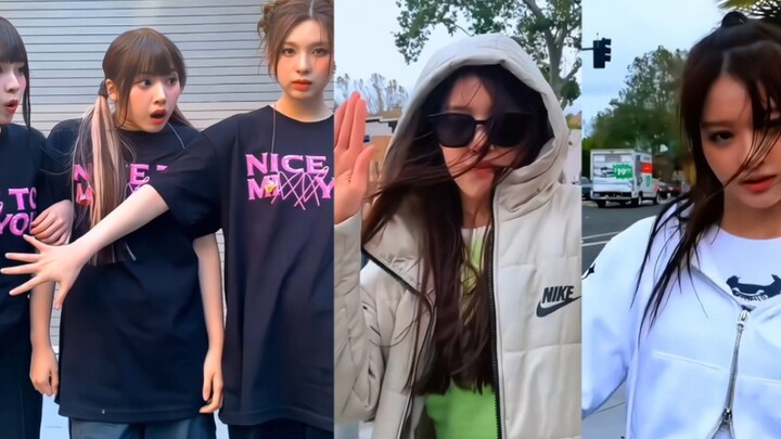 [NMIXX] A Collection of Cute and Quirky TikTok Videos