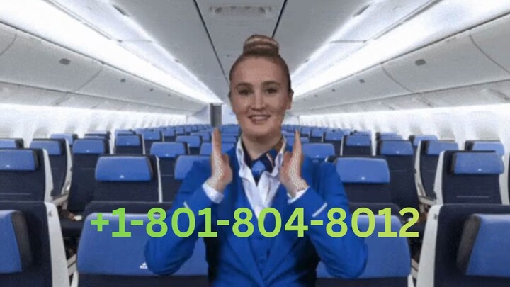 Swiss Guía 2026 Número de Teléfono de Atención al Cliente de Swiss Guía Completa Paso a Paso 2026
