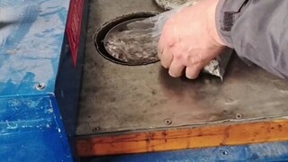 Masuk dan keluar, besi tua menjadi magnet