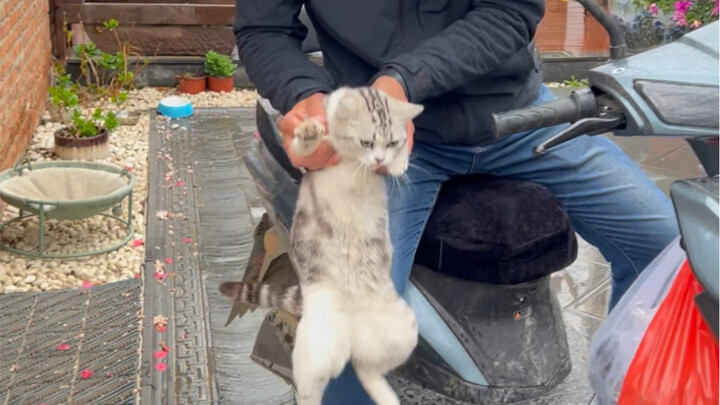 أحيانًا لا تحتاج لإنفاق الكثير للاستمتاع بالمأكولات البحرية؛ اليوم، بسعر الكرنب والجزر، أطعمنا الأخ 