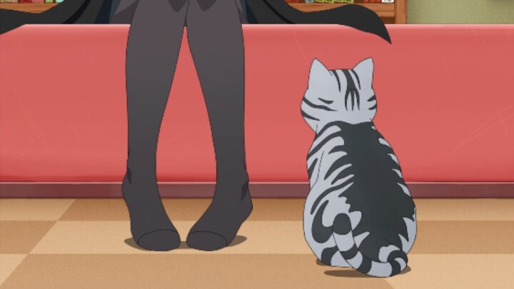 💕Seorang gadis dengan stocking hitam dan seekor kucing lucu, siapa yang bisa menolaknya? 💕
