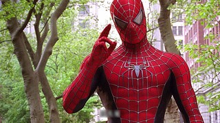 Bagaimana saya bisa menjadi Spider-Man? Tanggapan saya: makan lebih banyak sayuran dan lebih banyak 