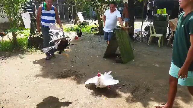 unang bitaw bago ikundisyon