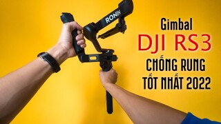 DJI RS3 - gimbal chống rung tốt nhất 2022 (cho máy ảnh)