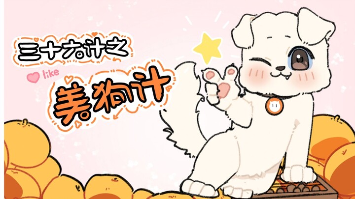 หมาตัวนี้จะทุ่มเทแค่ไหนเพื่อช่วยคุณปู่ขายส้ม!