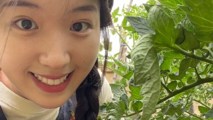 Playing in the mud? The road is covered with mud after the rain.