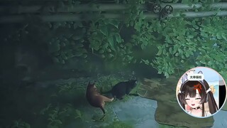 คลิปเสียงเด็กแมว ♂ บทช่วยสอน ♂