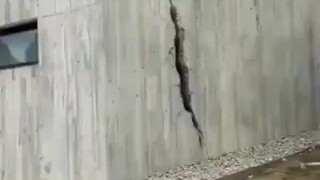 ادخل ولا تقل واو