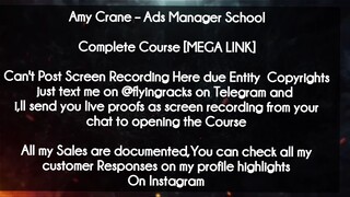 Amy Crane  course  - Ads Manager School download