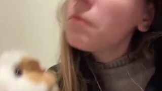 Landak: Ayo, ayo saja, jangan ada yang takut di antara kita!