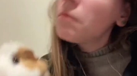 Hedgehog: Come on, you come too! Neither of us should chicken out!