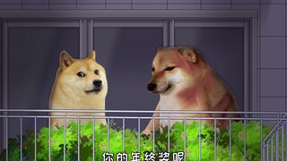 cheems，你发了多少